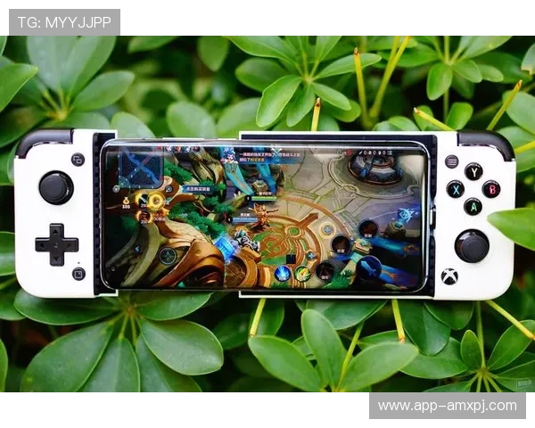 新葡葡萄京娱乐官网多平台兼容支持让玩家随时随地畅玩游戏