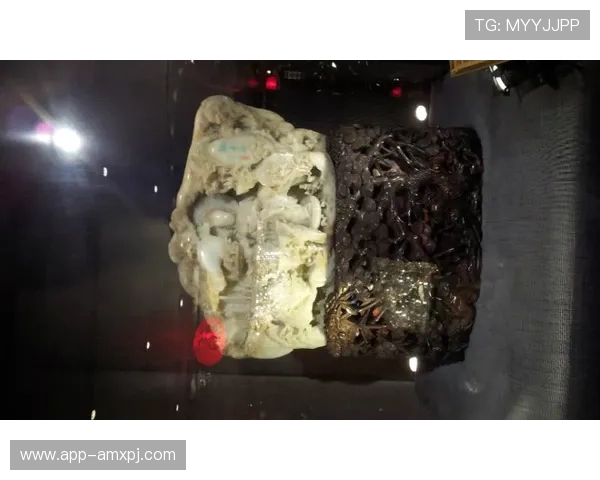 澳门葡京官方旗舰店官方授权，放心购物享受优质服务