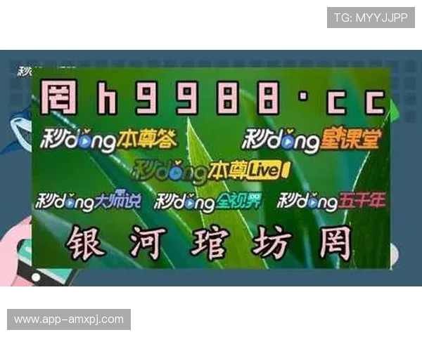 2024年最新ios棋牌平台排行榜，专业评测助你轻松找到最适合的游戏平台