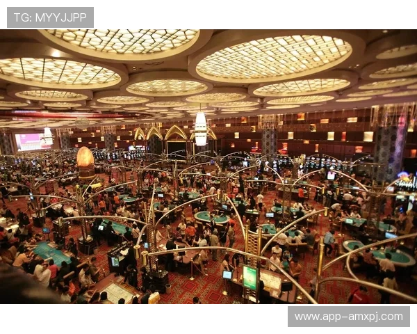 澳门新普金娱乐城的安全性分析与合法运营资质详解，保障玩家权益